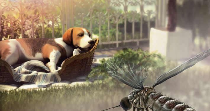 3D Model Dog