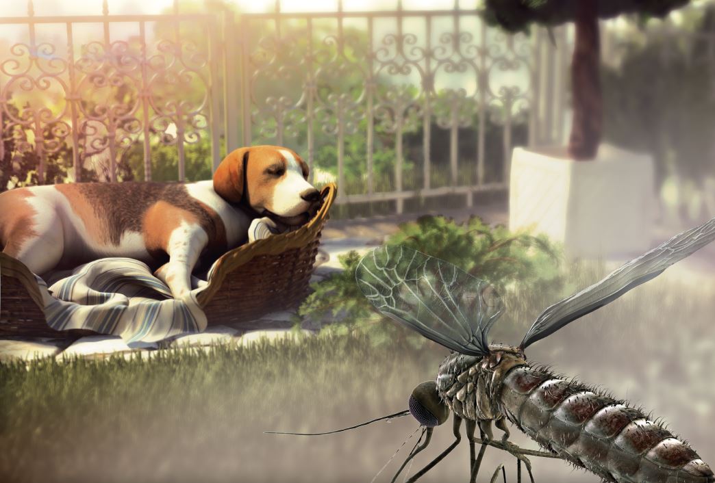 3D Model Dog