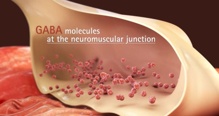 3D Molecular Level
