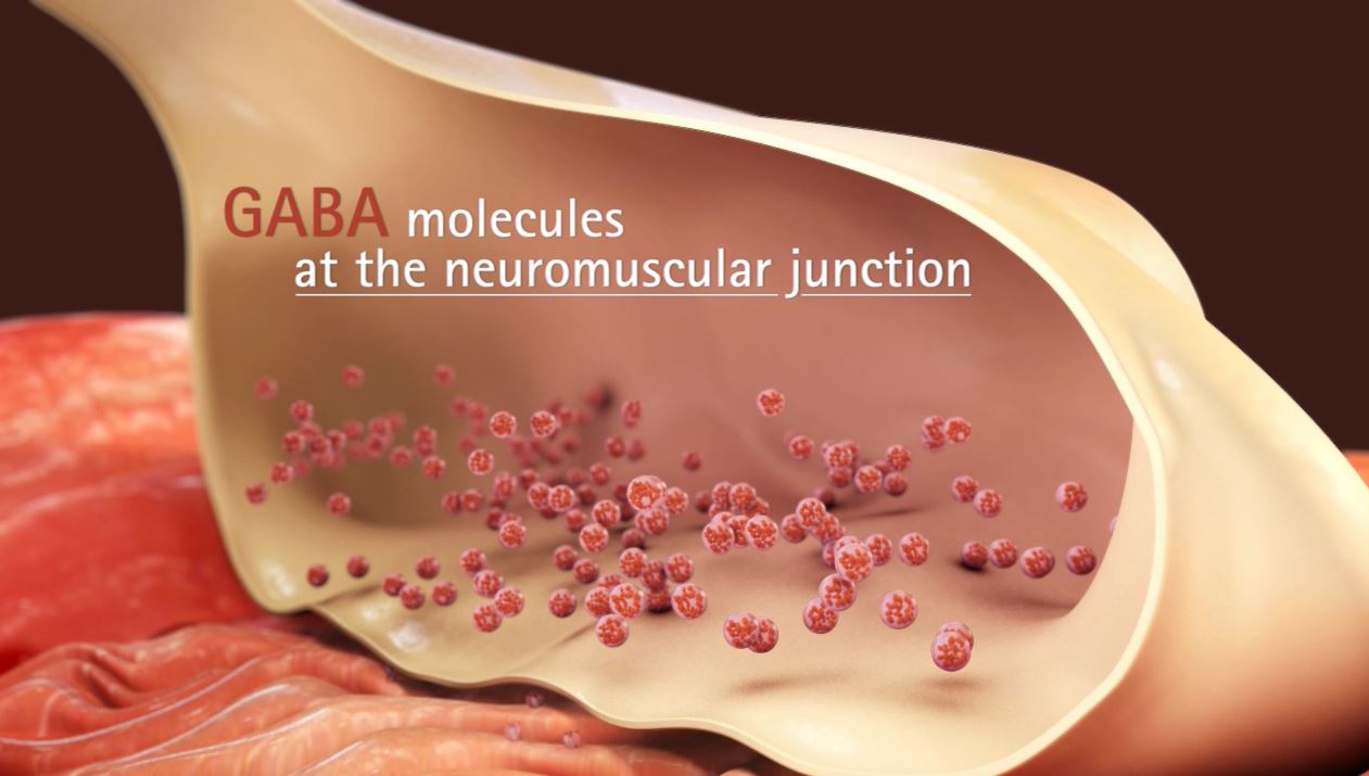 3D Molecular Level