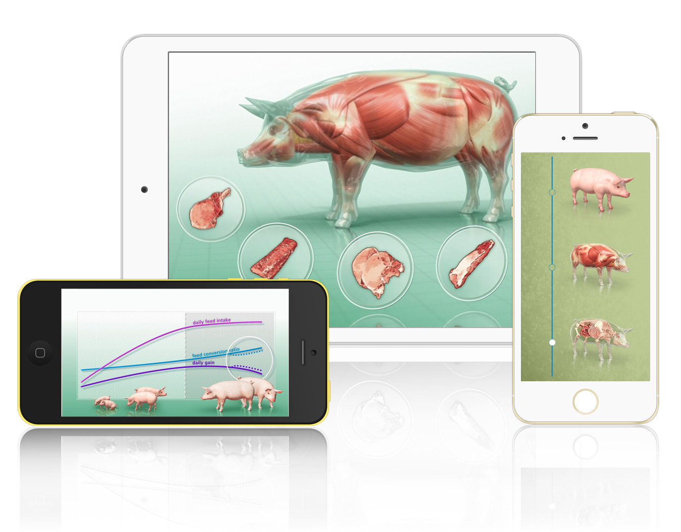 Swine Business Devices