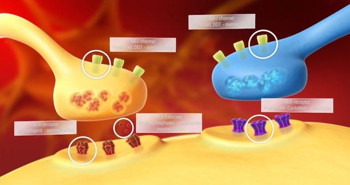 Molecular Level