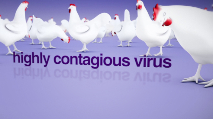 Project Vaccination in Poultry Animation