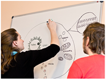 Whiteboard